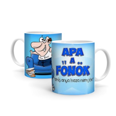 B309 Apa