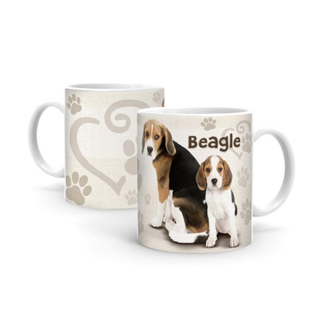Beagle B386