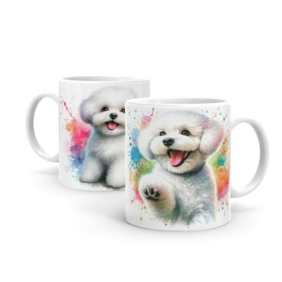 Bichon-Bolognese-B1160.jpg