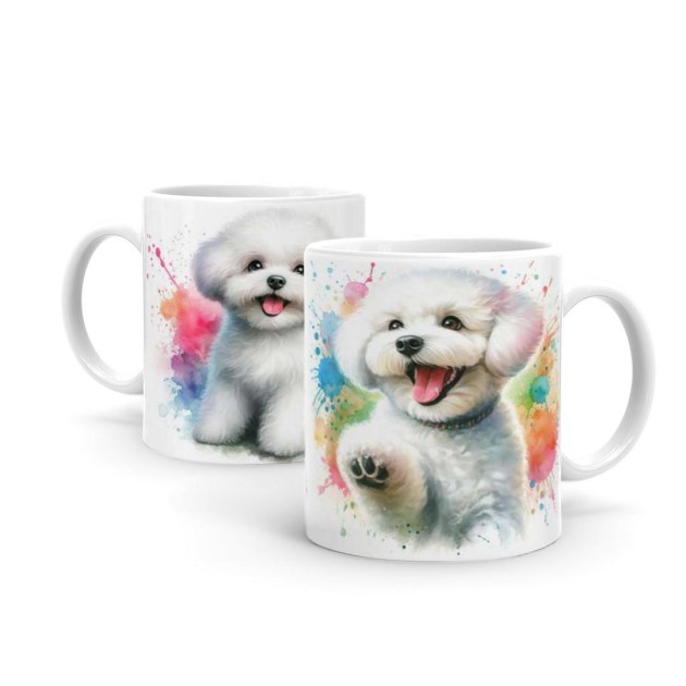 Bichon-Bolognese-B1160.jpg