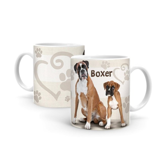 Boxer B388