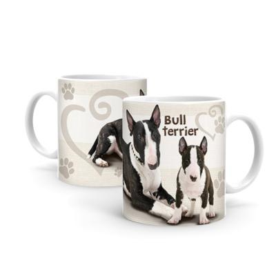 Bull Terrier B389