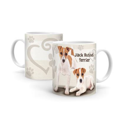 Jack Russel B408