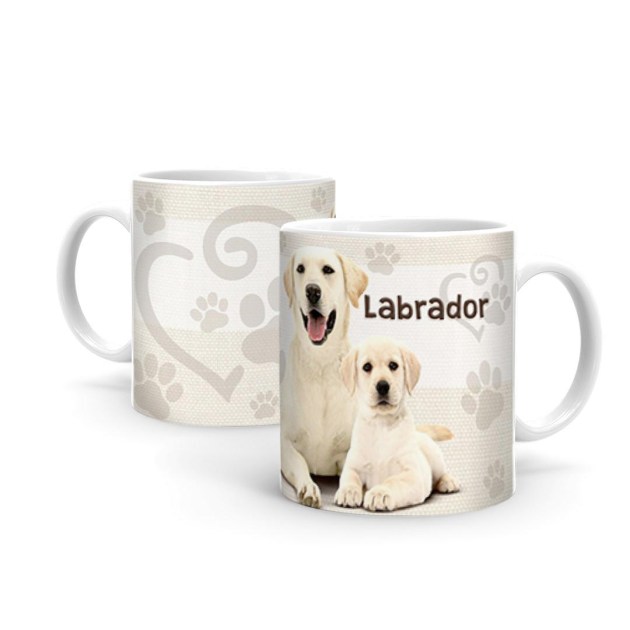 Labrador B398