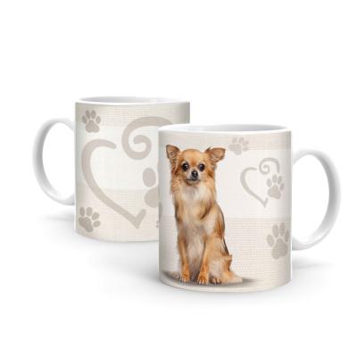 Long Chihuahua B411