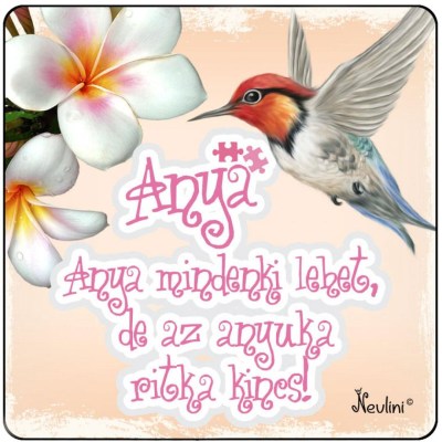 NH005 Anya Mindenki Lehet