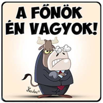 NH027 A Főnök én Vagyok