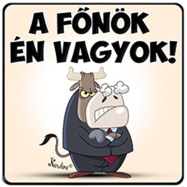 NH027 A Főnök én Vagyok