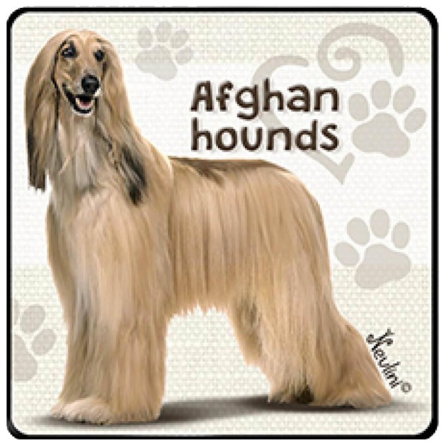NH129 Afghan