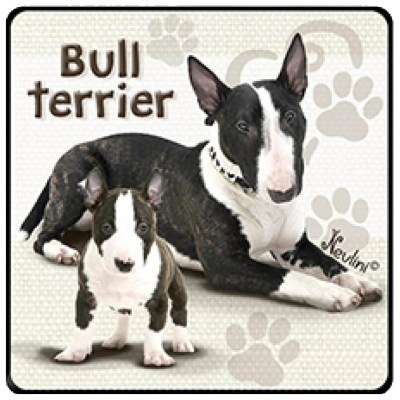 NH130 Bull Terrier