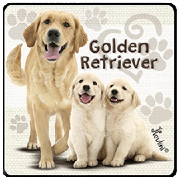 NH131 Golden Retriever
