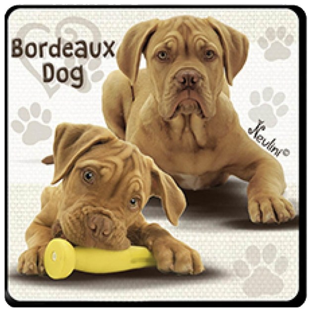 NH132 Bordeaux Dog