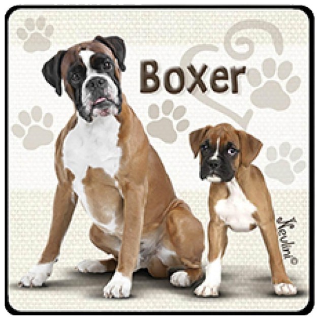 NH133 Boxer