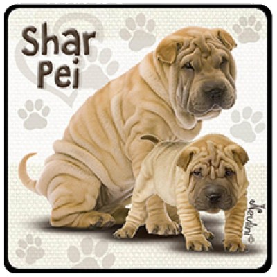 NH134 Shar Pei
