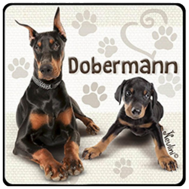 NH135 Dobermann