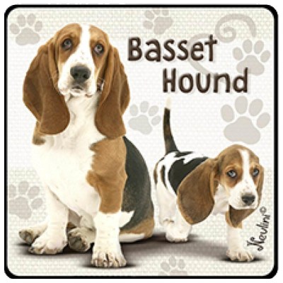 NH136 Basset Hound
