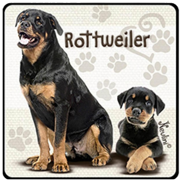 NH137 Rottweiler