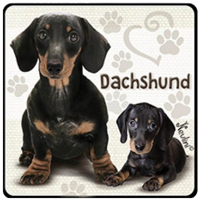 NH138 Dachshund