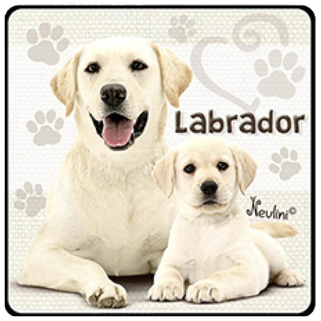 NH142 Labrador