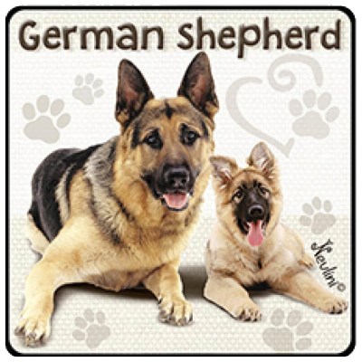 NH144 German S