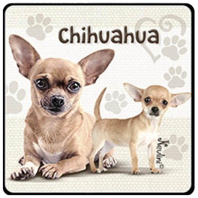 NH147 Chihuahua