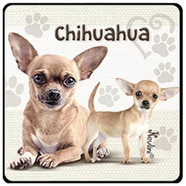 NH147 Chihuahua
