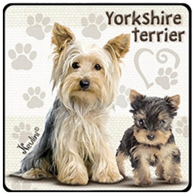 NH148 Yorkshire Terrier