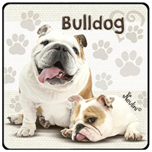 NH149 Bulldog