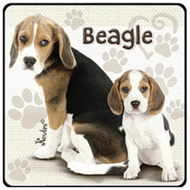 NH151 Beagle