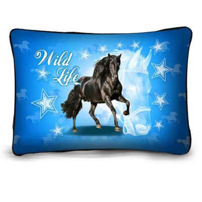 P007 Fekete Ló   Wild Life