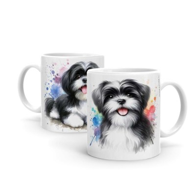 Shih Tzu Fekete Feher B1210