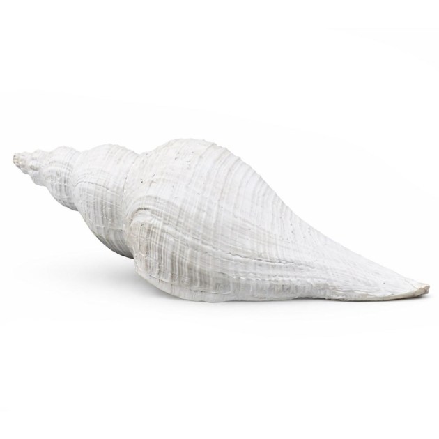 Tengeri Dekoracio 18cm 252120300 4f LP05060045