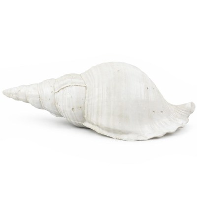 Tengeri Dekoracio 28cm 252120310 4f LP05060040