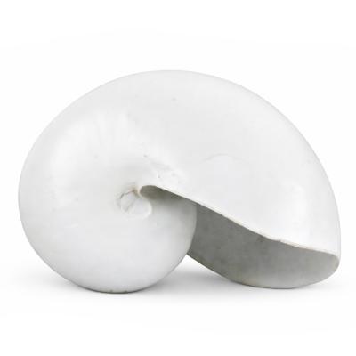 Tengeri Dekoracio 28cm 252120310 4f LP05060041