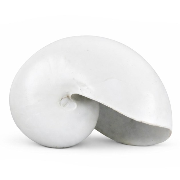 Tengeri Dekoracio 28cm 252120310 4f LP05060041