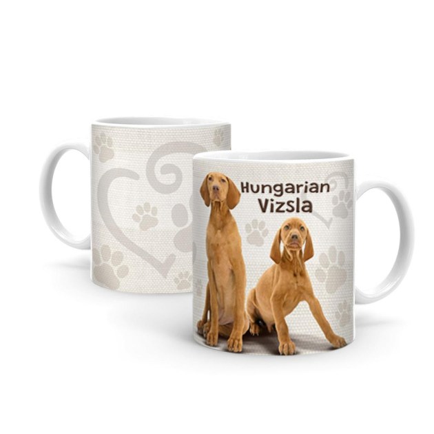 Vizsla B403