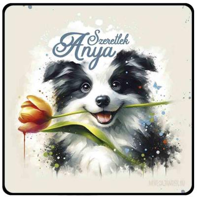 Anyak Napi Ajandek Anyaknak Negyzet Hutomagnes Nh266 Szeretlek Anya Border Collie