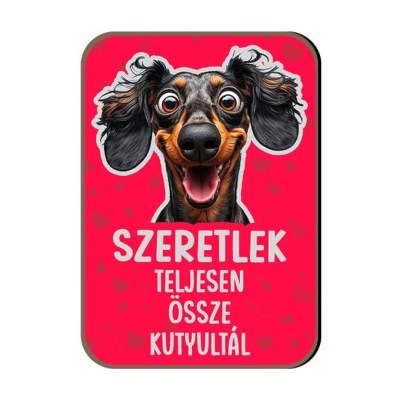 Hutomagnes Valentin Napi Ajandek 154 Teljesen Osszekutyultal Tacskos Hutomagnes