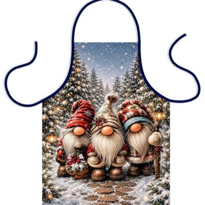 Karacsonyi Gnome Manos Koteny