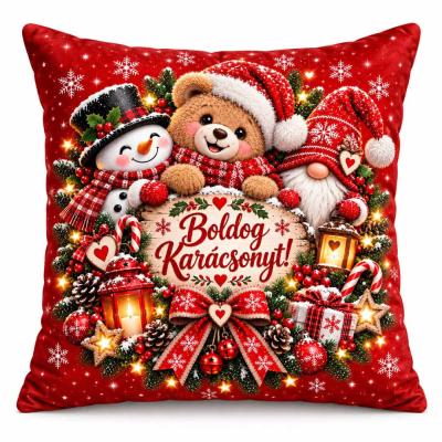 Karacsonyi Pluss Parna Karanyosi Ajandek Nnp221 Boldog Karacsonyt Hoember Maci Gnome Parna