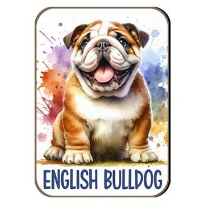 Kutyas Hutomagens 004 English Bulldog