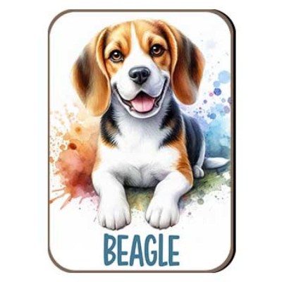 Kutyas Hutomagens 008 Beagle