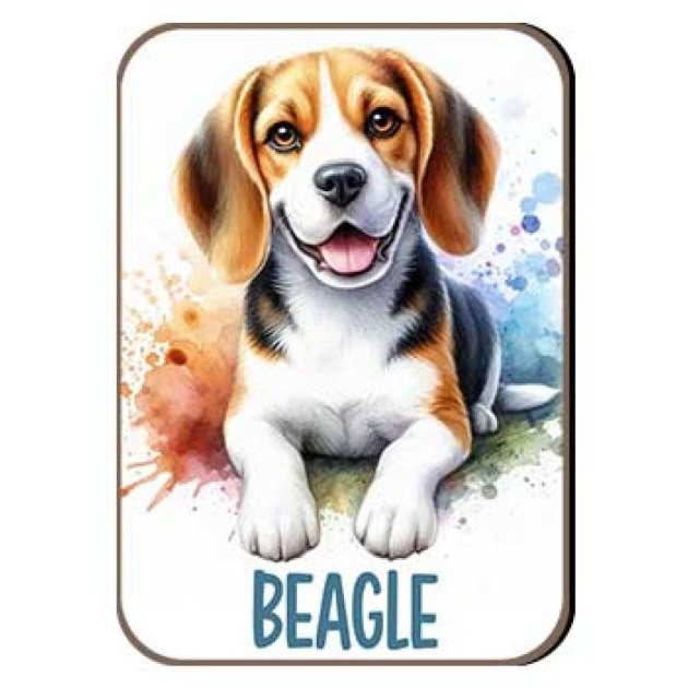 Kutyas Hutomagens 008 Beagle