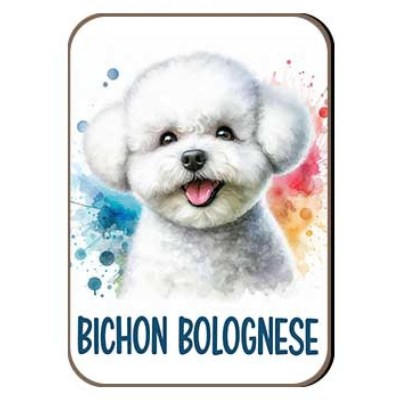Kutyas Hutomagens 011 Bichon Bolognese
