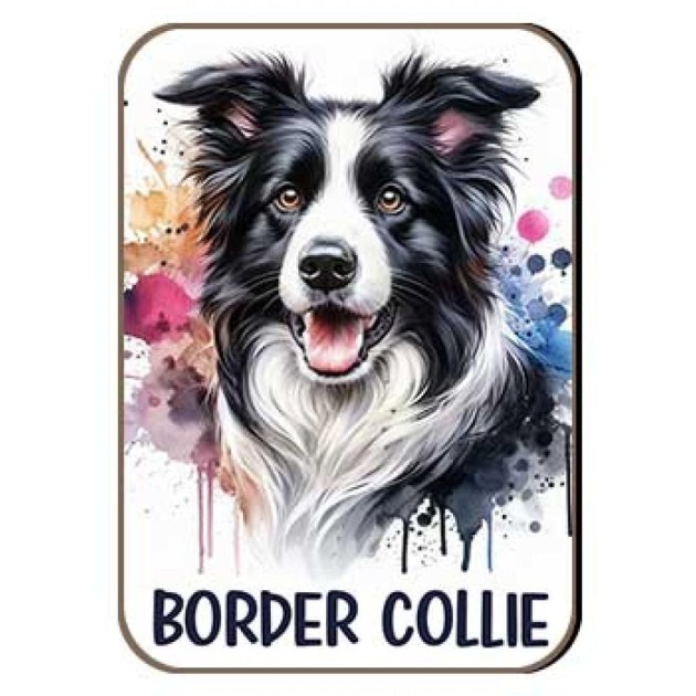 Kutyas Hutomagens 013 Border Collie