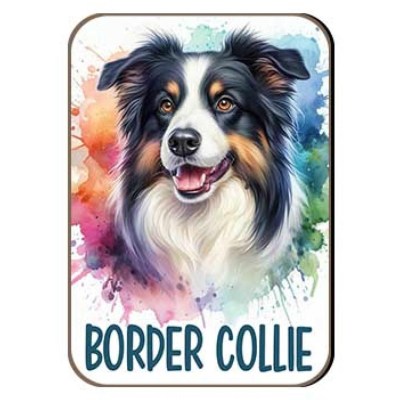Kutyas Hutomagens 014 Border Collie Barna Fekete Feher