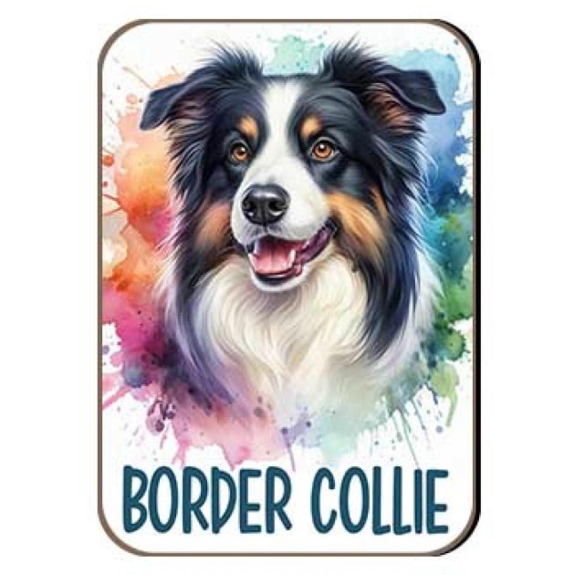 Kutyas Hutomagens 014 Border Collie Barna Fekete Feher