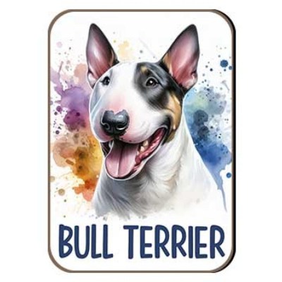 Kutyas Hutomagens 017 Bull Terrier