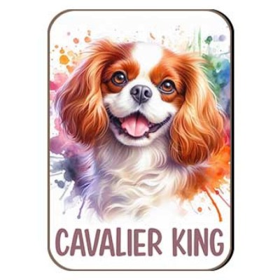Kutyas Hutomagens 020 Cavalier King Spaniel