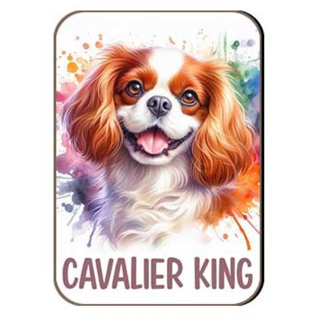 Kutyas Hutomagens 020 Cavalier King Spaniel